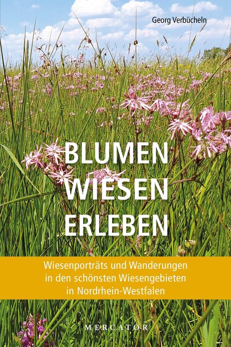 "BLUMEN WIESEN ERLEBEN" oben, Georg Verbücheln. Gras und Blumen, blauer Himmel mit Wolken im Hintergrund.