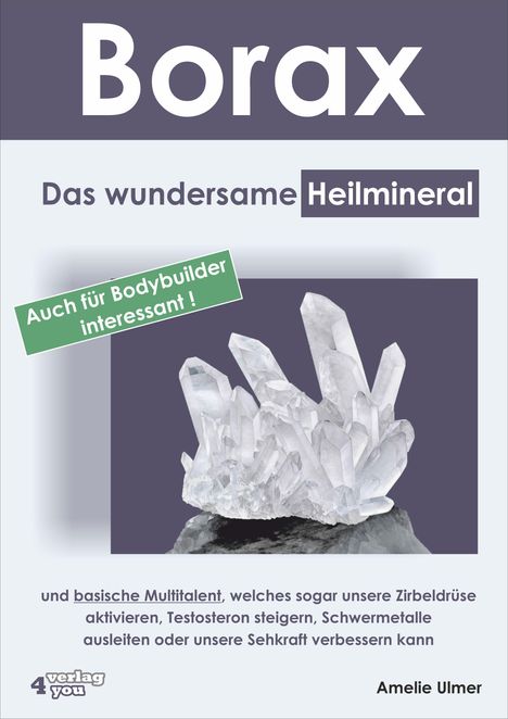 Amelie Ulmer: Borax, Buch