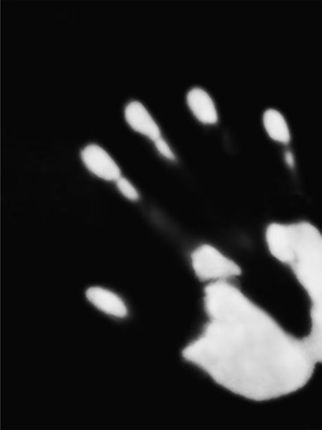 Void-Reflections, Buch