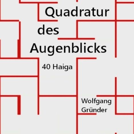 Wolfgang Gründer: Quadratur des Augenblicks, Buch