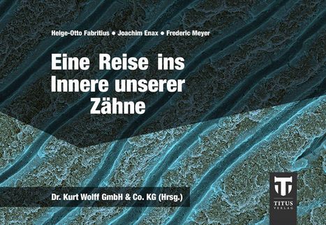 Helge-Otto Fabritius: Eine Reise ins Innere unserer Zähne, Buch