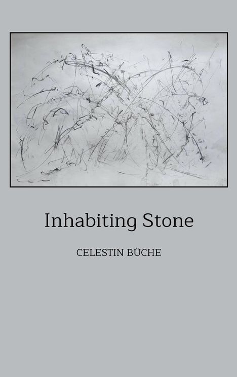 Celestin Büche: Inhabiting Stone, Buch