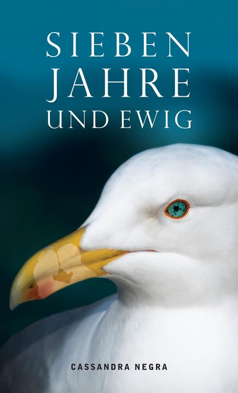 Cassandra Negra: Sieben Jahre und ewig, Buch