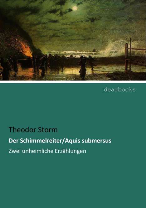 Theodor Storm: Der Schimmelreiter/Aquis submersus, Buch