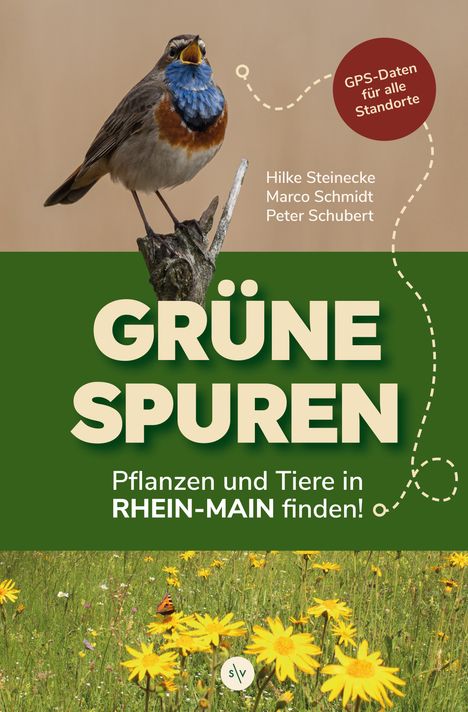 Hilke Steinecke: Grüne Spuren, Buch