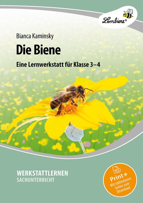 Bianca Kaminsky: Die Biene. Grundschule, Sachunterricht, Klasse 3-4, 1 Buch und 1 Diverse