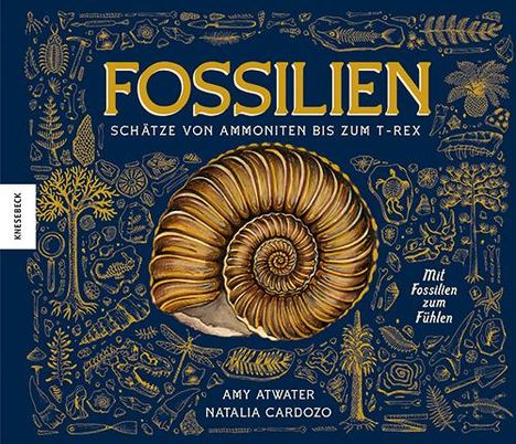 Amy Atwater: Fossilien - Schätze von Ammoniten bis zum T. Rex, Buch