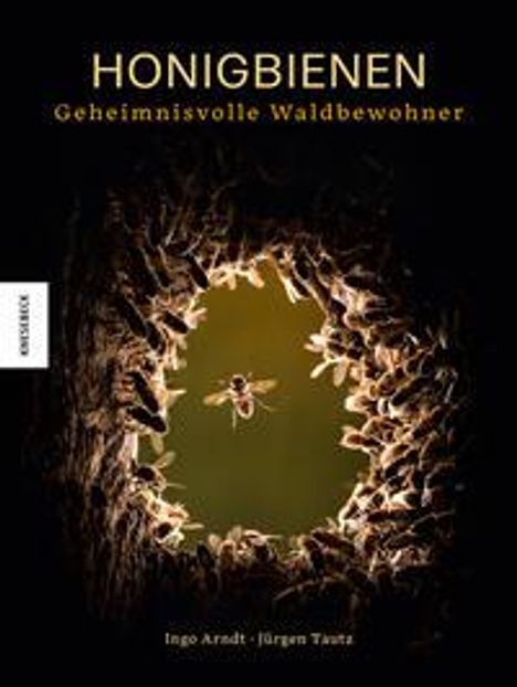 Ingo Arndt: Honigbienen - Geheimnisvolle Waldbewohner, Buch