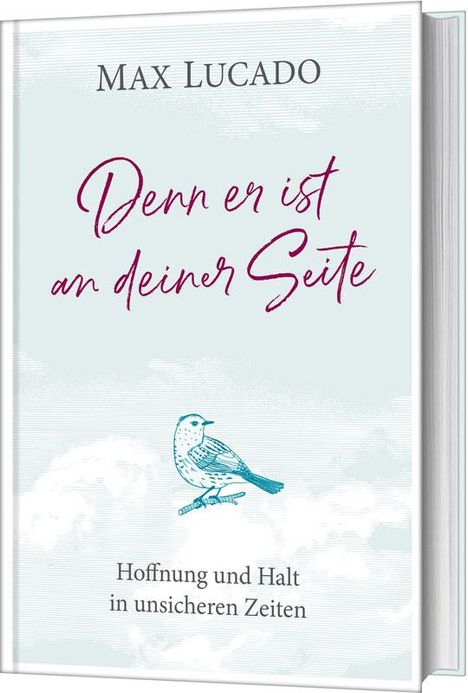 Max Lucado: Denn er ist an deiner Seite, Buch