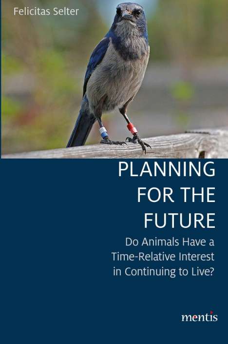 Felicitas Selter: Felicitas Selter: Planning for the Future, Buch