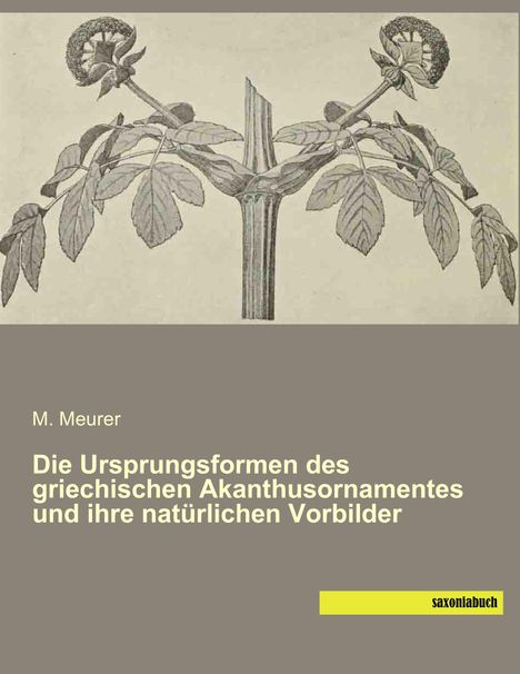 M. Meurer: Die Ursprungsformen des griechischen Akanthusornamentes und ihre natürlichen Vorbilder, Buch