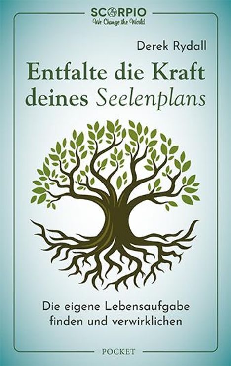 Derek Rydall: Entfalte die Kraft deines Seelenplans, Buch