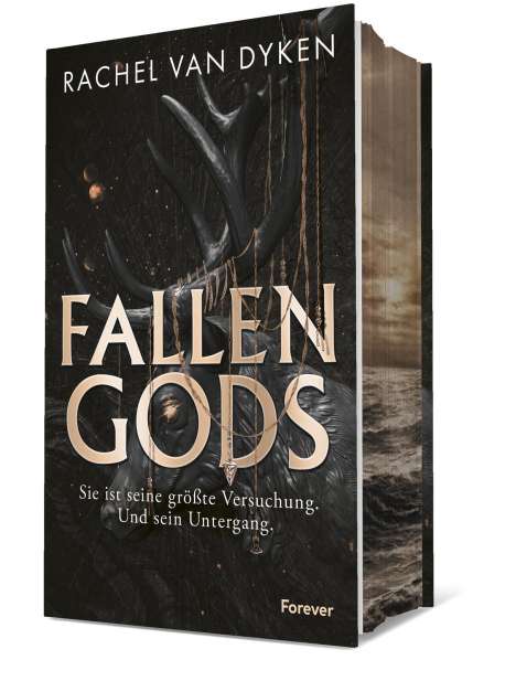 Rachel Van Dyken: Fallen Gods, Buch