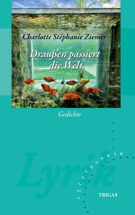 Charlotte Stéphanie Ziemer: Draußen passiert die Welt, Buch