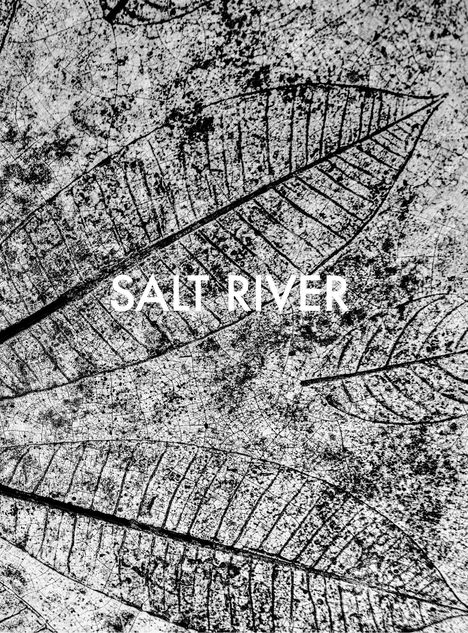 Sebastian Posingis: Salt River, Buch