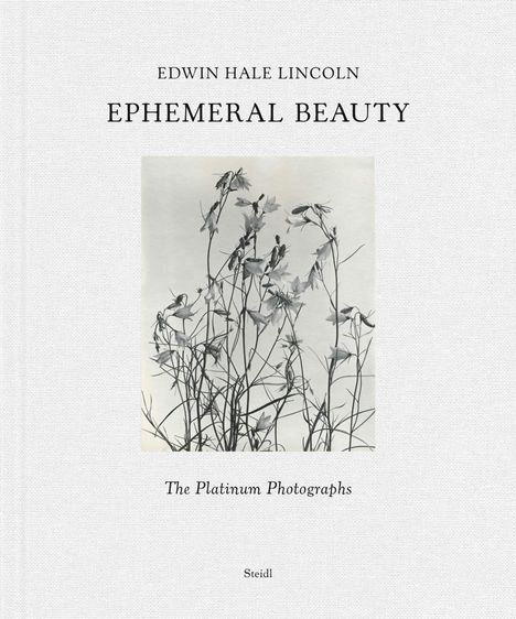 Edwin Hale Lincoln: Ephemeral Beauty, Buch