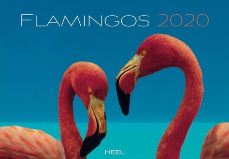 Flamingos 2020, Diverse
