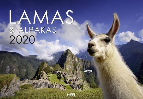 Lamas &amp; Alpakas 2020, Diverse