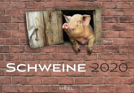 Schweine 2020, Diverse