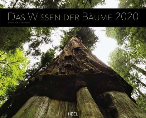 Diane Cook: Das Wissen der Bäume 2020, Diverse