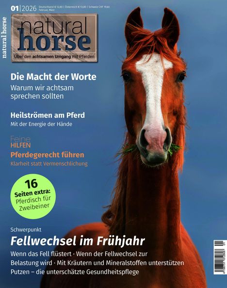 Titel: natural horse. Themen: Achtsamkeit, Heilströmen, Pferdekommunikation. Großes Pferdeporträt vor blauem Hintergrund.