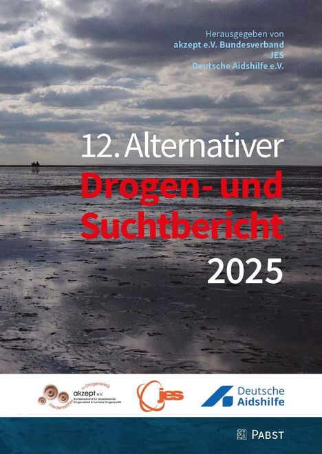 "12. Alternativer Drogen- und Suchtbericht 2025", Wolkiger Himmel über einer weiten, nassen Fläche. Logos unten.