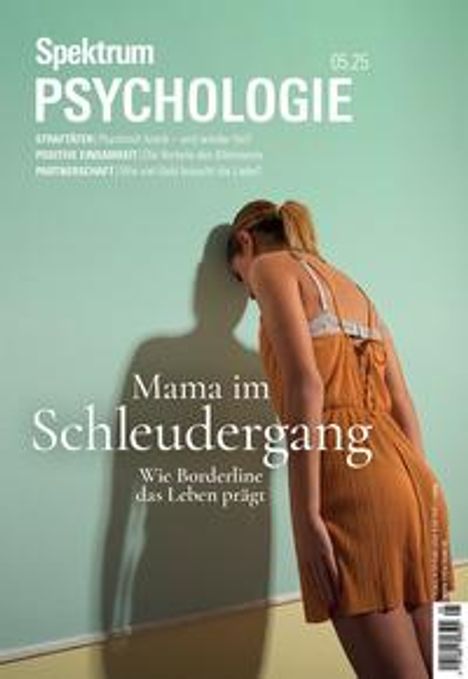 Cover/Produkt Ansicht vergrößern