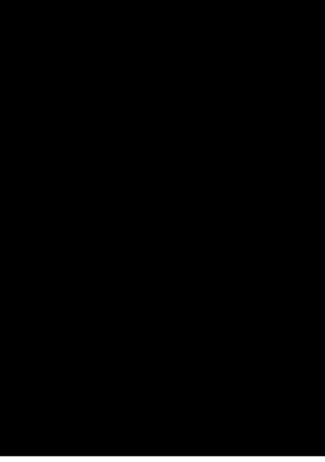 Sarah Schumann Schockcollagen 1954-1964, Buch