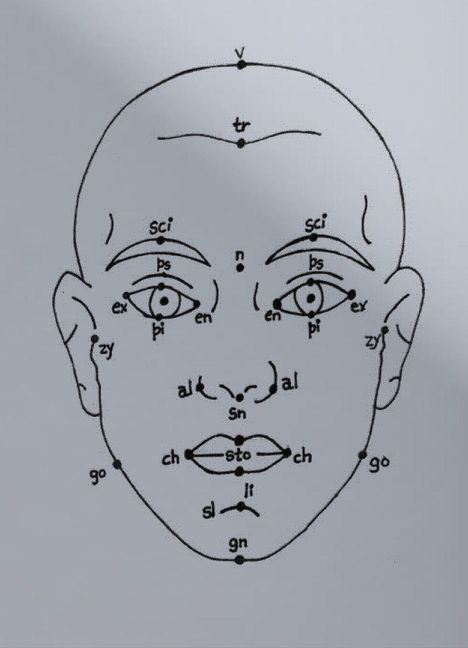 Technische Illustration eines Gesichts mit Beschriftungen auf wichtigen Gesichtspunkten wie "v", "tr", "sci", "ch".