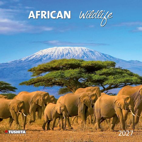 "African Wildlife 2027". Elefantenherde geht vor Akazienbäumen, im Hintergrund der schneebedeckte Kilimandscharo.