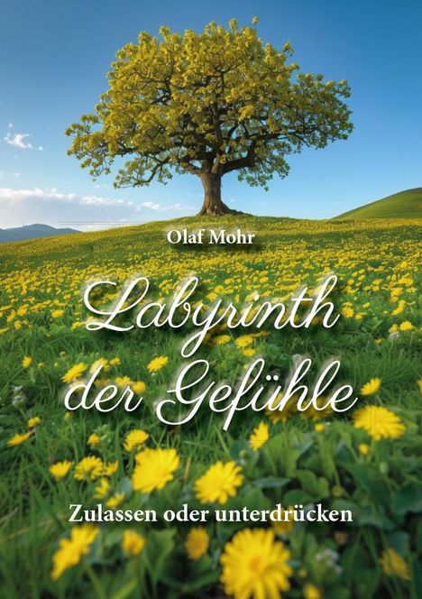 Olaf Mohr: Labyrinth der Gefühle, Buch