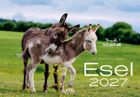 "Trudi & Wuschel", "J.-L. Klein/M.-L. Hubert", "Esel 2027". Zwei Esel stehen auf einer grünen Wiese.