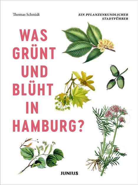 Thomas Schmidt: Was grünt und blüht in Hamburg?, Buch