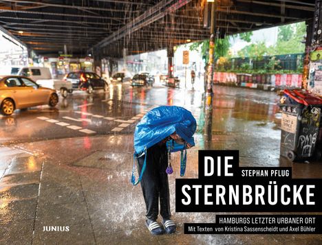 Die Sternbrücke, Buch