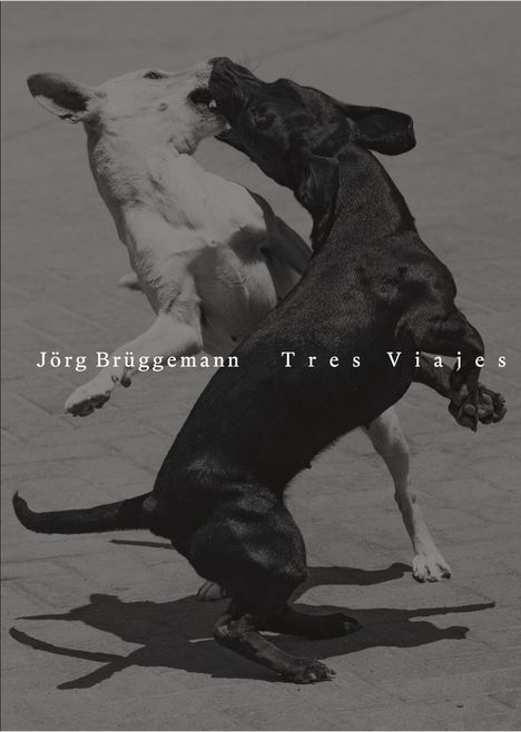Jörg Brüggemann: Jörg Brüggemann | Tres Viajes, Buch