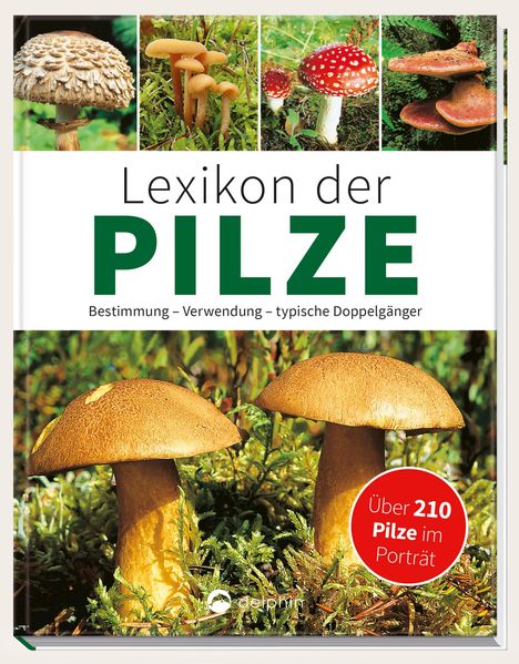 Hans W. Kothe: Kothe, H: Lexikon der Pilze, Buch