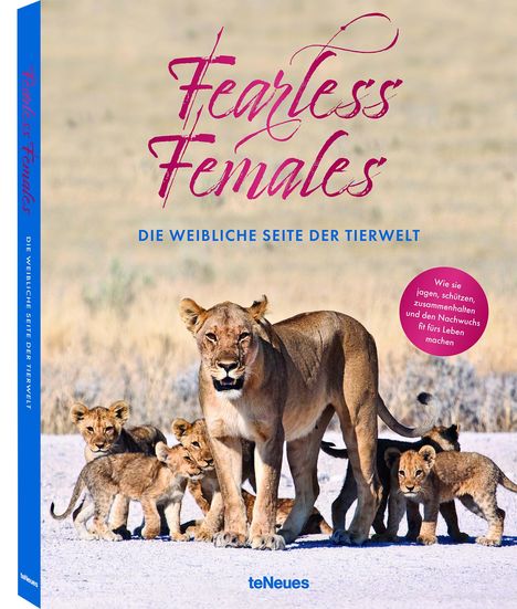 Mario Ludwig: Fearless Females, Buch