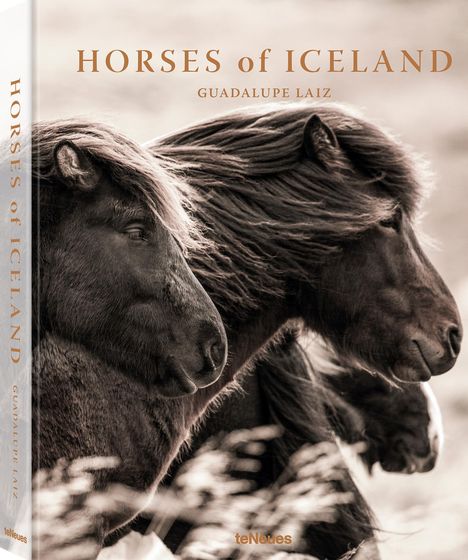 Guadalupe Laiz: Horses of Iceland, Buch