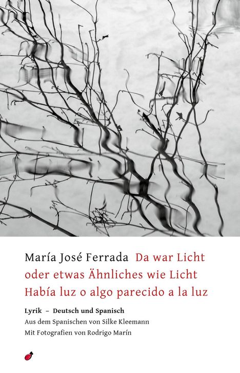 María José Ferrada: Da war Licht oder etwas Ähnliches wie Licht / Había luz o algo parecido a la luz, Buch