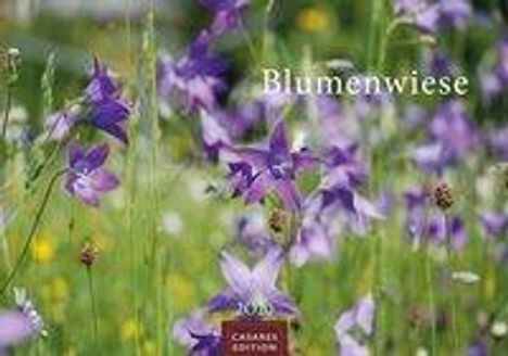 Blumenwiese 2020 - Format S, Diverse
