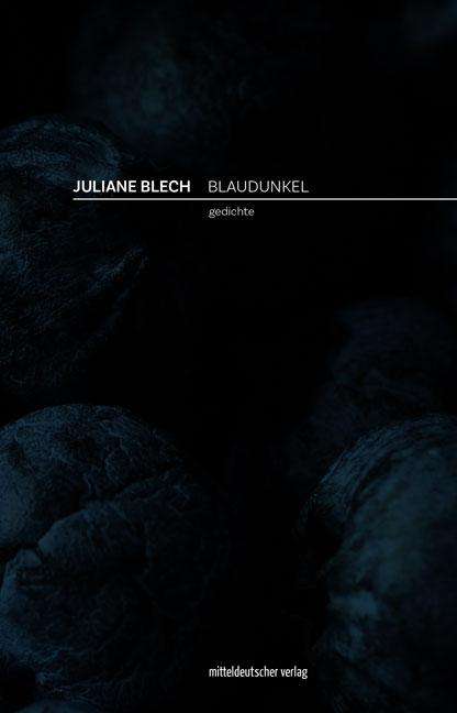 Juliane Blech: Blaudunkel, Buch