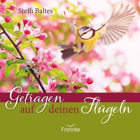 Steffi Baltes: Getragen auf deinen Flügeln, Buch