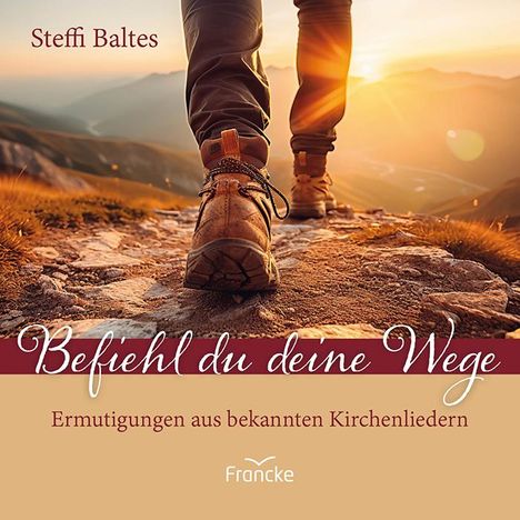 Steffi Baltes: Befiehl du deine Wege, Buch