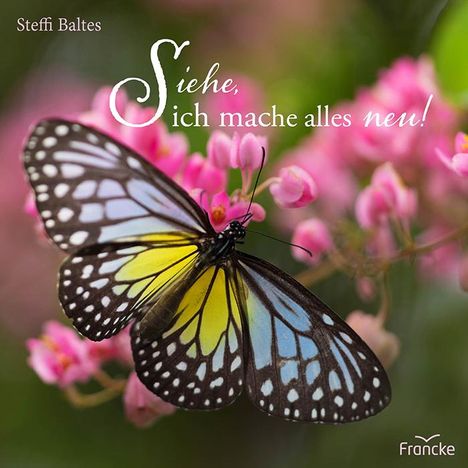 Steffi Baltes: Siehe, ich mache alles neu!, Buch