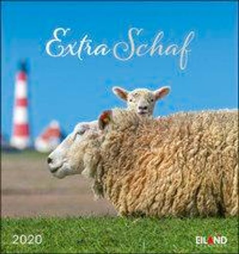 Extra Schaf 2020 PKK, Kalender