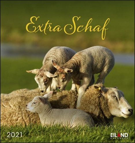 Extra Schaf 2021 PKK, Kalender