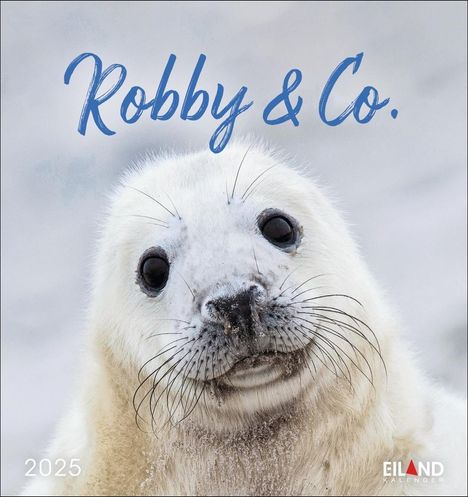 Robby &amp; Co. Postkartenkalender 2025, Kalender