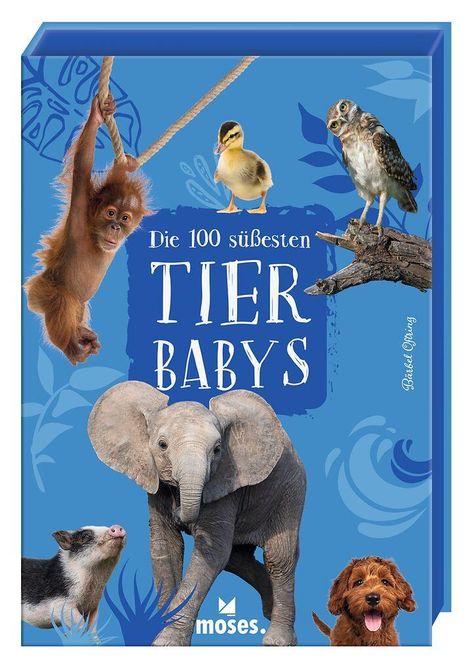 "Die 100 süßesten Tierbabys." Verschiedene Tierbabys: Orang-Utan, Entenküken, Eulenjunges, Elefant, Ferkel, Hund.
