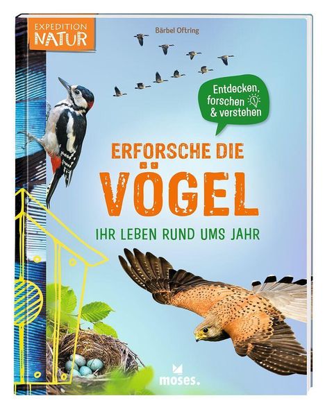 Erforsche die Vögel: Ihr Leben rund ums Jahr. Illustration von Vögeln, darunter ein Specht und ein fliegender Falke.