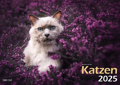 Katzen 2025 Bildkalender A3 quer - Natalie Große, Kalender